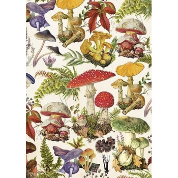 Přání Mushroom Forest