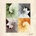 Gotye - Making Mirrors / Digipack CD