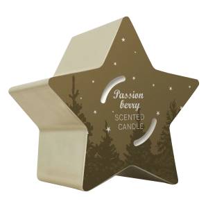 SOLVENT Import dod. PL Свещ Q Home Star gold 125 г