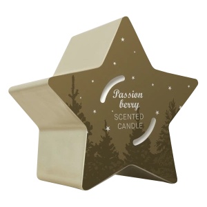 SOLVENT Import dod. PL Свещ Q Home Star gold 125 г