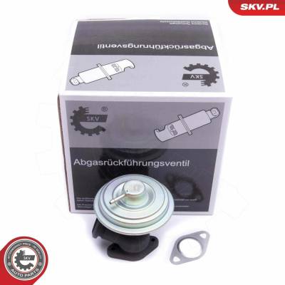 AGR - Ventil ESEN SKV 14SKV203