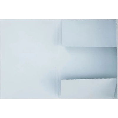 Esselte Кутия за документи ESSELTE A/4 3-слоен картон 275 g светлосиня 1033302 (1033302)