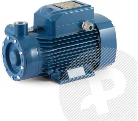 Pedrollo PQ3000