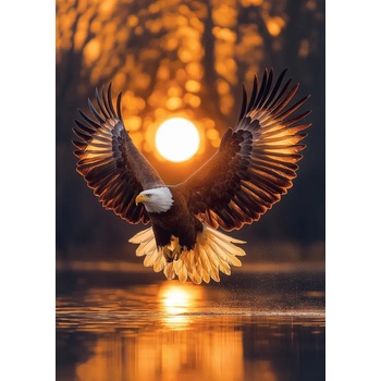 Art Puzzle - Puzzle Wings of the Sun - 1 000 piese