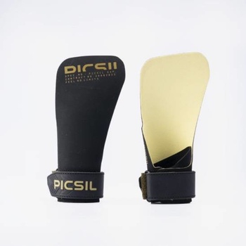 Picsil Phoenix
