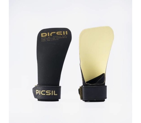 Picsil Phoenix