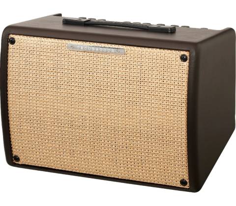 Ibanez T 30