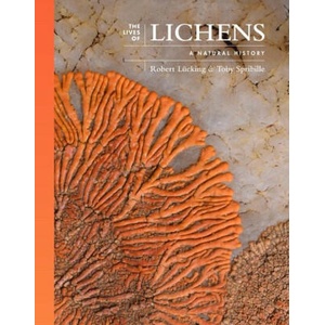 The Lives of Lichens - Successful Miniature Ecosystems (ISBN: 9780691247274)