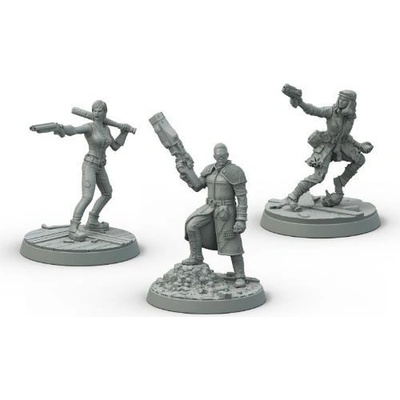 Fallout: Wasteland Warfare: Survivors: Boston Companions