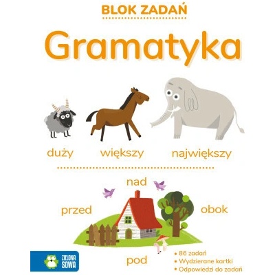 Blok zadań. Gramatyka 9+