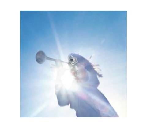 Geese: Getting Killed CD