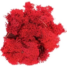 Secret Live Moss Blood Red 5 g