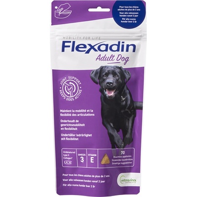 Flexadin 4Life Adult Dog žvýkací 60 tbl