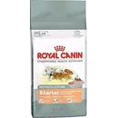 Royal Canin SHN MINI STARTER MOTHER & BABYDOG 1 kg