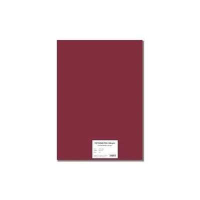 STEPA Barevný karton EXTRA 300g 50x70cm - bordo 10listů