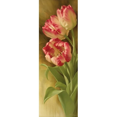Tulipány 2 1 deska 30x90