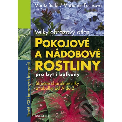 Pokojové a nádobové rostliny pro byt i balkony