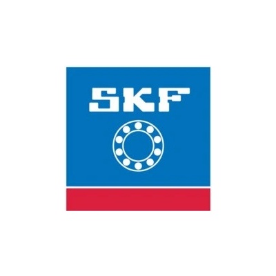 SKF LGHP 400 g