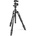 Manfrotto Befree Advanced Aluminium Travel Tripod with Twist Ball Head (MKBFRTA4-BH)