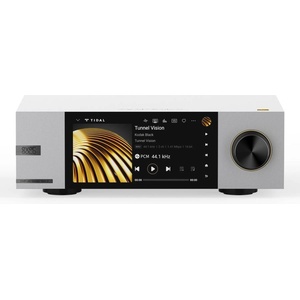 Eversolo DMP-A6 Master Edition Gen 2 Усилватели