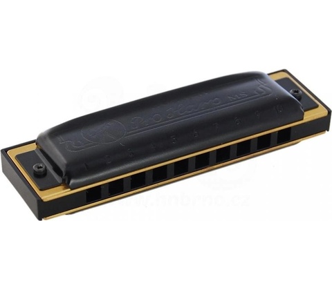 Hohner ProHarp D