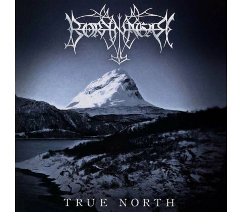 True North - Borknagar CD