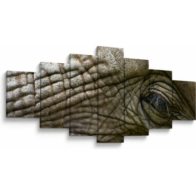 Obraz - Detailné fotografie starého slonieho oka, sedemdielne 210x100 cm