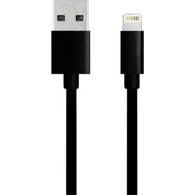 Winner Group 6666 USB USB-A Lightning 2m černý