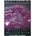 Cartamundi Deutschland Bicycle - Stargazer Falling Star | United States Playing Card Company (USPC)