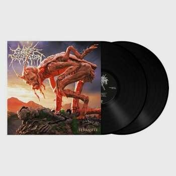 Kin Ping Meh - Concrete / Vinyl / 2 LP