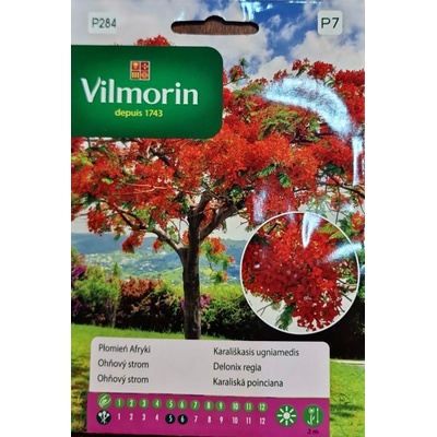 Vilmorin Огнено дърво Delonix regia