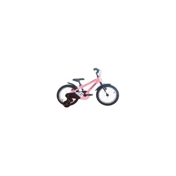 Cross Roxy 16 (2026)