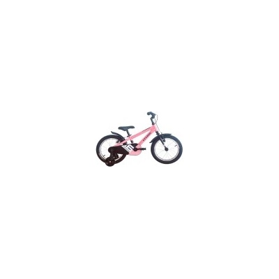 Cross Roxy 16 (2026)