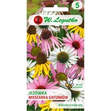Echinacea zmes druhov