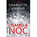 Osamělá noc