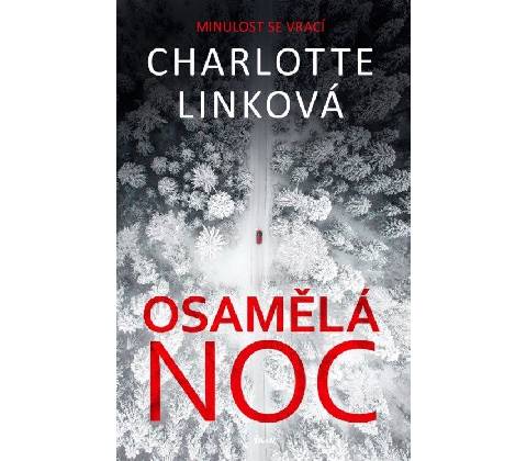 Osamělá noc
