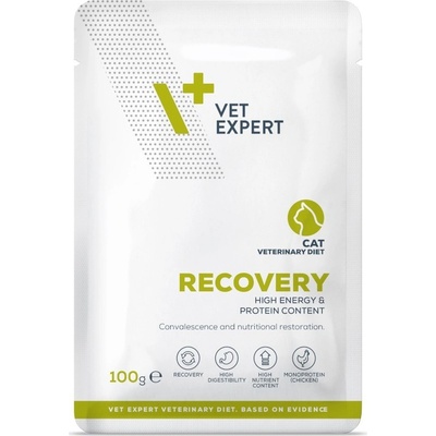 VetExpert Veterinary Diet 4T Recovery Cat 100 g