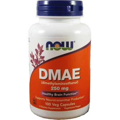 Now Foods DMAE 250 mg 100 kapslí