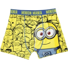 Character Single Boxer Junior Boys Minions