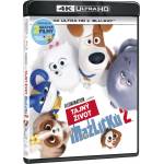 MagicBox Сами вкъщи 2 - 2Blu-ray (4K Ultra HD + Blu-ray) (029288)