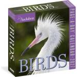Workman Calendars Audubon Birds Page-A-Day® Calendar 2027 | National Audubon Society, Workman Calendars