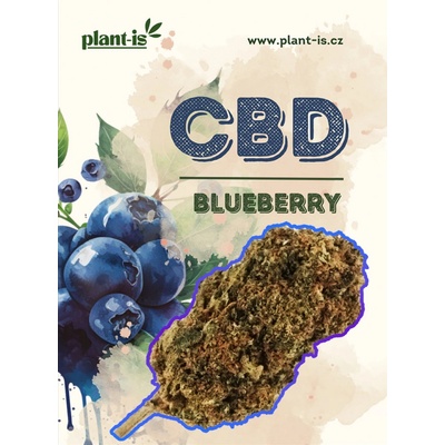 Plant-is Blueberry květy CBD 15% THC 0,5% 1g – Hledejceny.cz