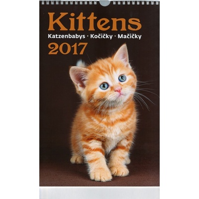 nástěnný Kočičky 2017