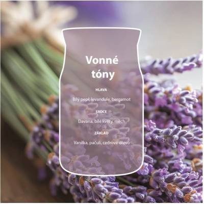 Yankee Candle DRIED LAVENDER & OAK signature 110 g
