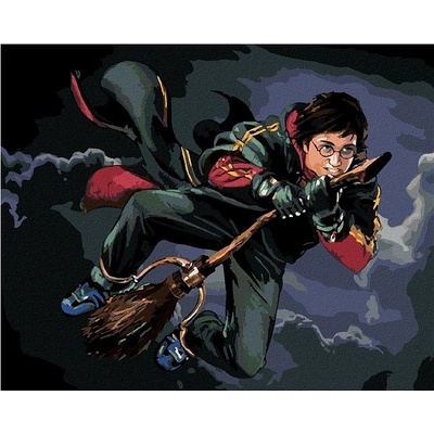 Zuty Harry potter na koštěti 40 x 50 cm vypnuté plátno na rám