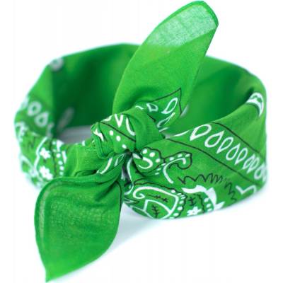 Art of Polo šátek Sz13014 green
