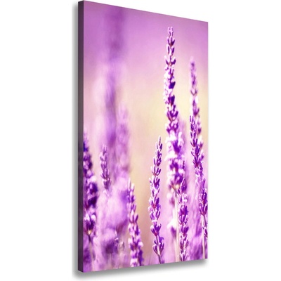 Vertikálny moderný obraz canvas na ráme Levanduľa 50x100 cm