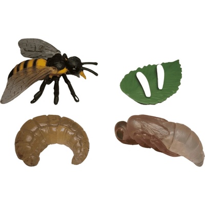 Animal Life životný cyklus Včela