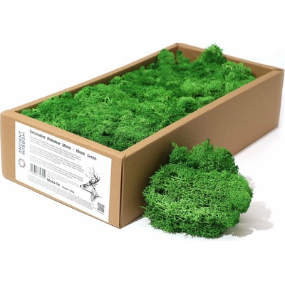 Dekoračný Islandský Mach - Machovo Zelený - 635 g