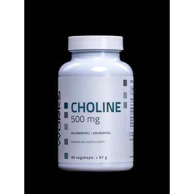 Choline 500mg 90 kapslí